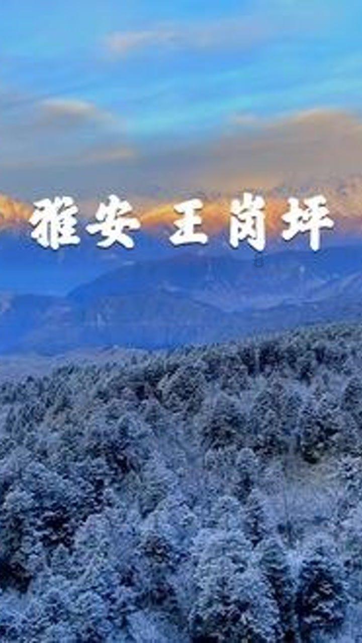 犹太人智慧:如果你现在一穷二白,请在床头放上这一东西