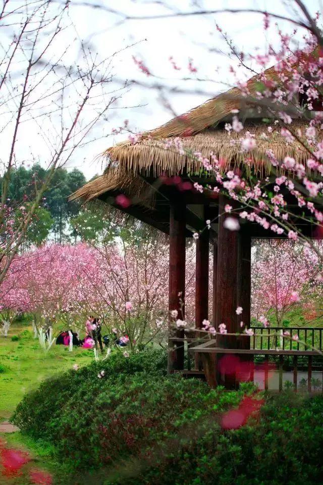 银河护卫队